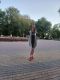 Без описания