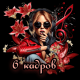 6 кадров
