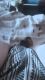 Катя 18 лет бывшая шаболда живёт в городе Новомосковск новое название Самар Днепропетровская область
