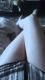 Катя 18 лет бывшая шаболда живёт в городе Новомосковск новое название Самар Днепропетровская область