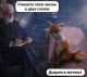 Без описания