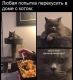 Без описания