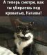 Без описания