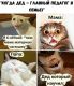 Без описания