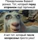 Без описания
