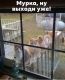 Без описания