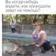 Без описания