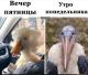 Без описания