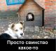 Без описания