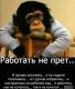Без описания