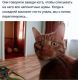 Без описания