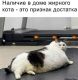 Без описания