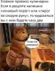Без описания
