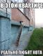Без описания