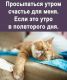 Без описания