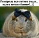 Без описания