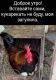 Без описания