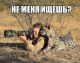 Без описания