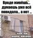 Без описания