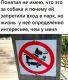 Без описания