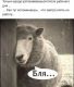 Без описания
