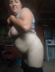 Без описания