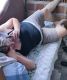 Без описания