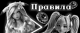 Без описания