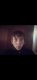 687a9a2a690ea2.739094121752865322_687a9a2a691398.22737277.png