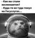 Без описания