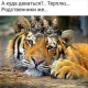 Без описания