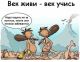 Без описания