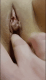 6ab1af46c63891.034635631790029638_6ab1af46c638e1.25111685.gif