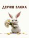 Без описания