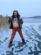 Без описания