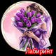 Лабиринт