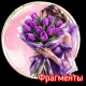 Фрагменты