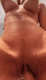 6a86680e09e895.433763751787193358_6a86680e09e8f8.77508696.gif