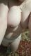 6aafa9dad1e9c3.962824631789897178_6aafa9dad1ea07.79962775.jpg