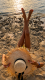 6a573db57e57a6.738392331784102325_6a573db57e57f3.79259816.png