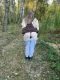 Без описания