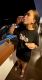 Без описания