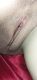 Без описания