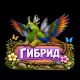 Без описания