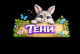 Чернов
