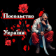 Без описания