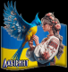 Без описания