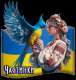 Без описания