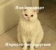 Без описания
