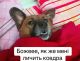 Без описания